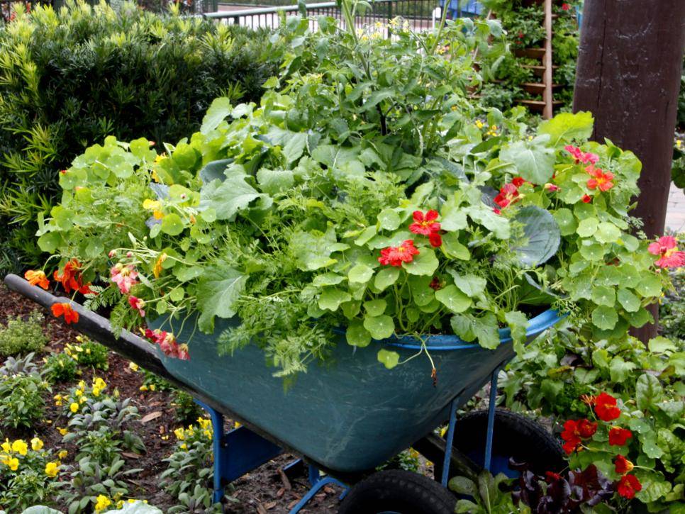 Stunning Container Vegetable Garden Design Ideas