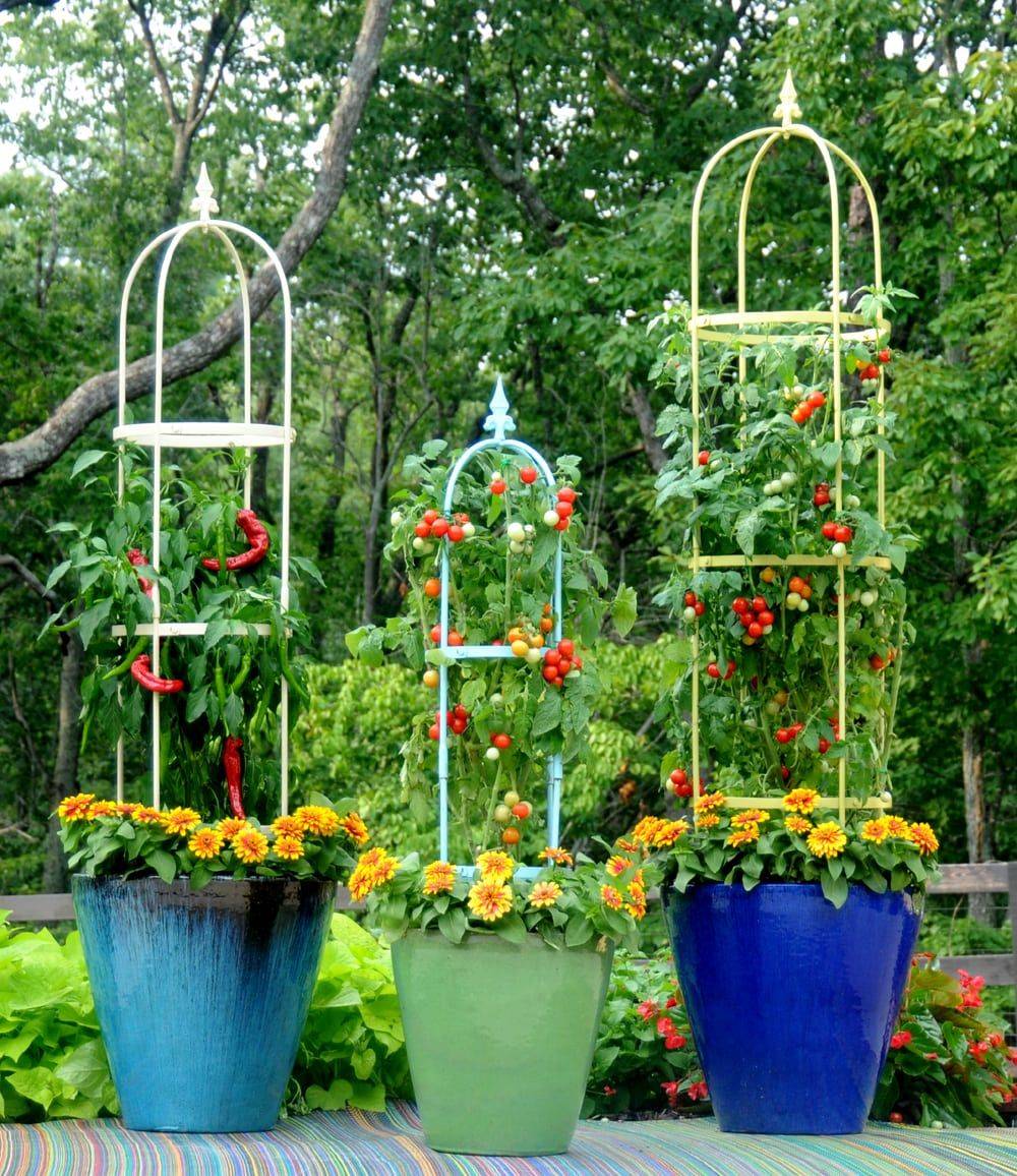 Beautiful Summer Container Garden Flower Ideas