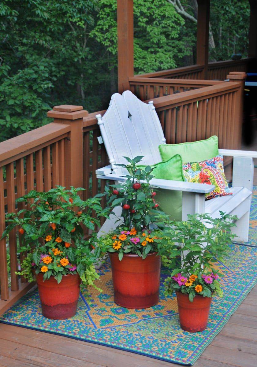 22 Edible Container Garden Ideas You Should Look SharonSable