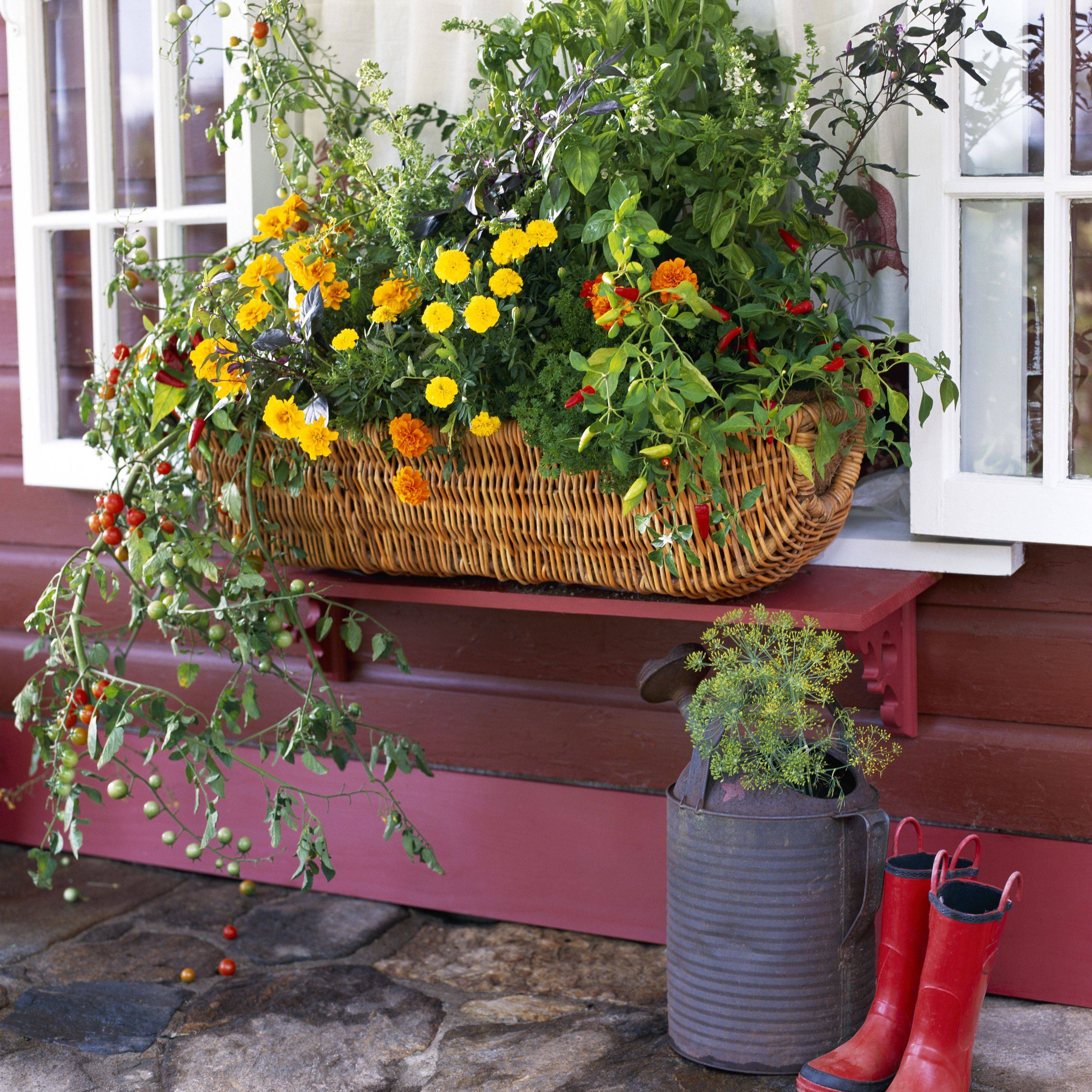 22 Edible Container Garden Ideas You Should Look SharonSable
