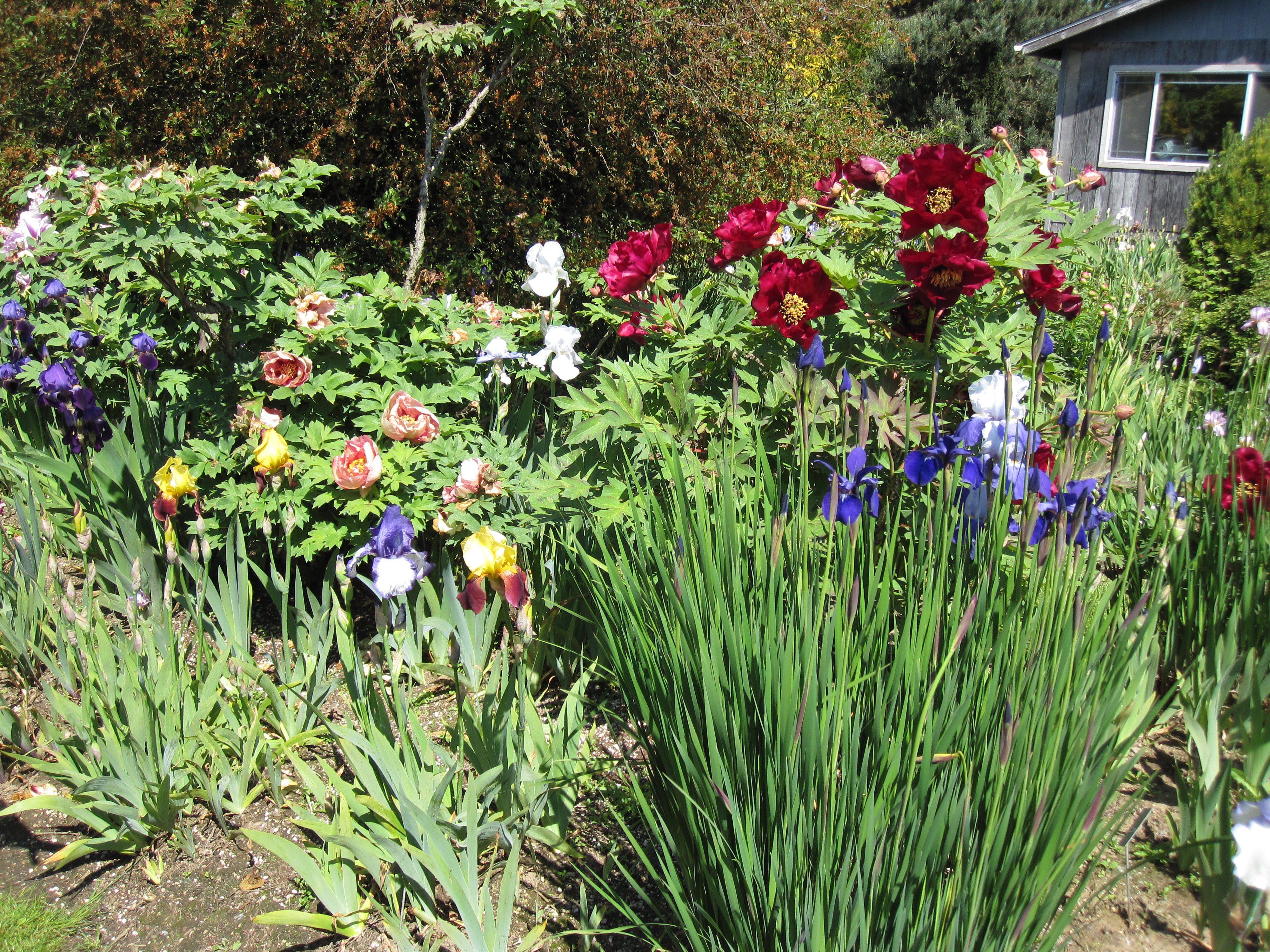 Lovely Flower Garden Design Ideas