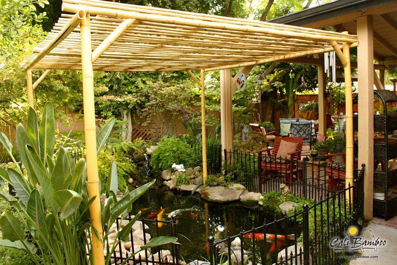 Pergola Outdoor Patio Designs