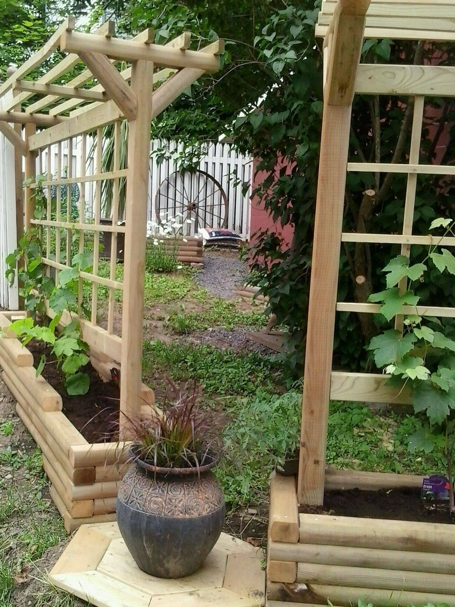 Easy Garden Trellis Ideas
