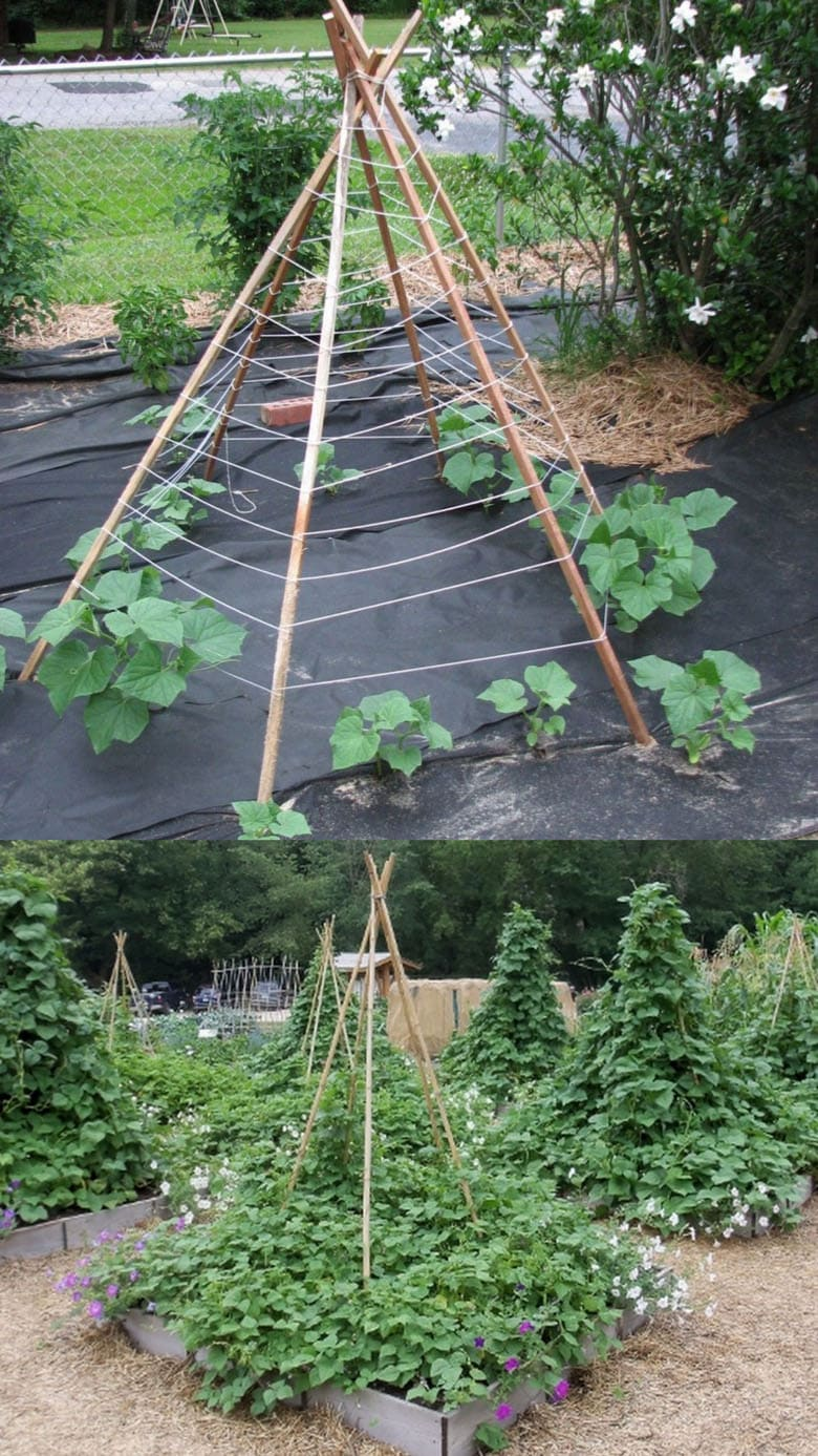 Raised Bed Garden Arch Trellis