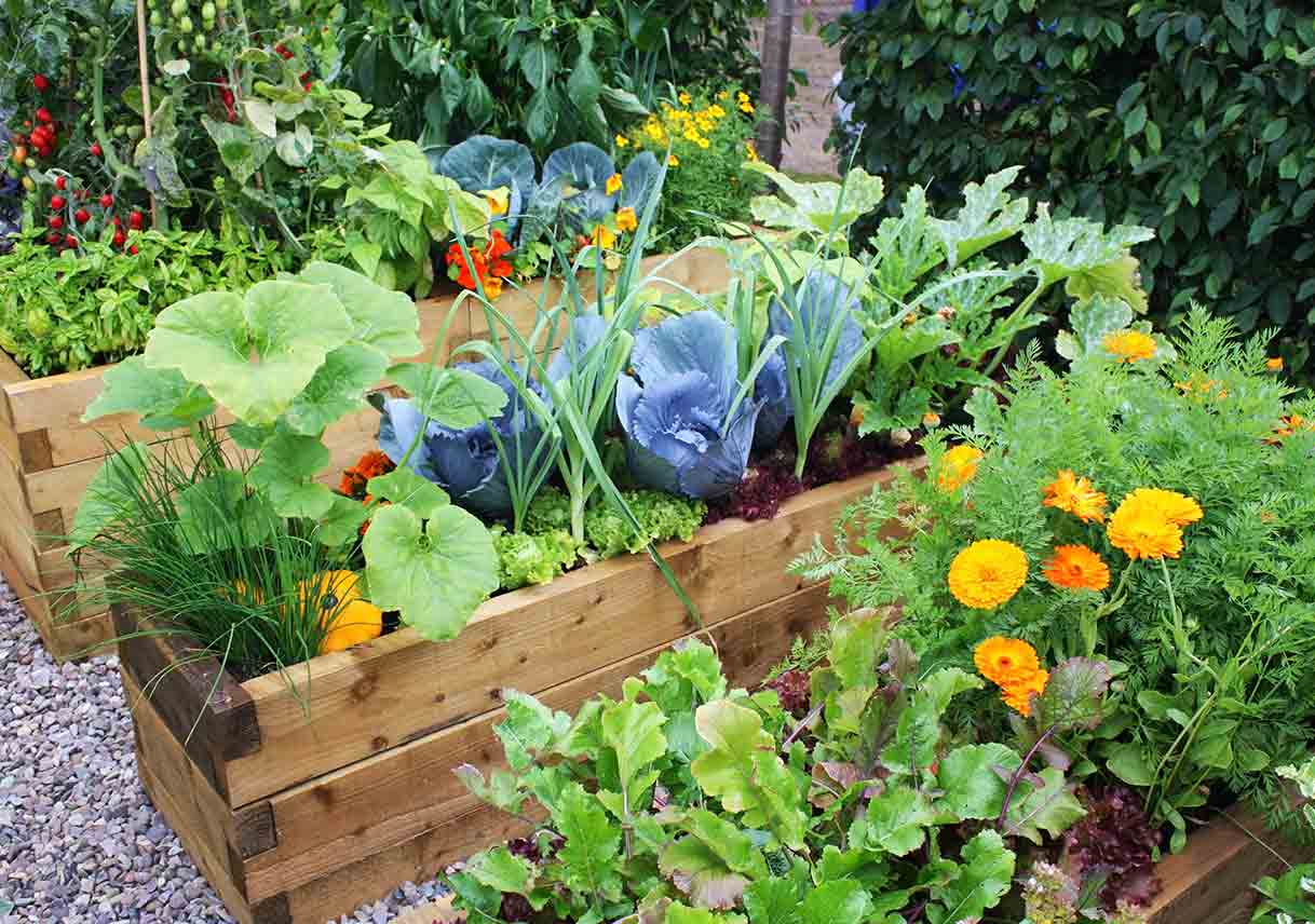 Elegant Edible Gardens