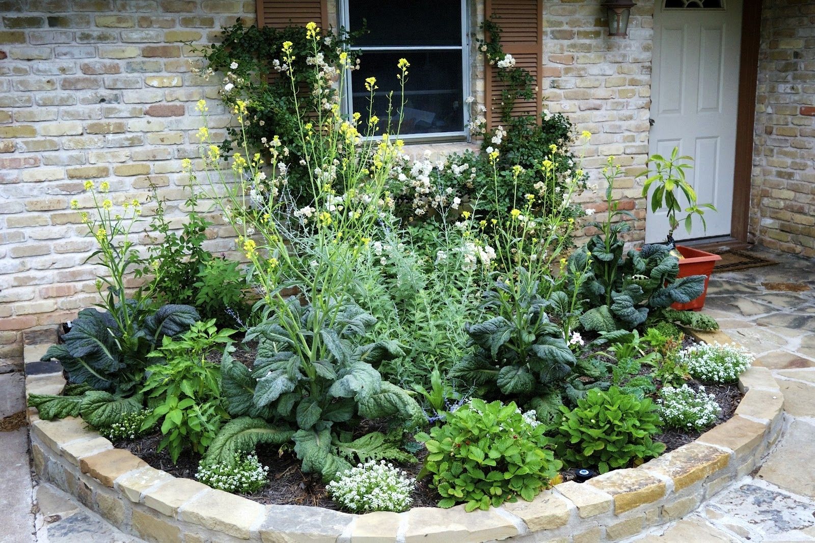 Edible Landscape Ideas Hand