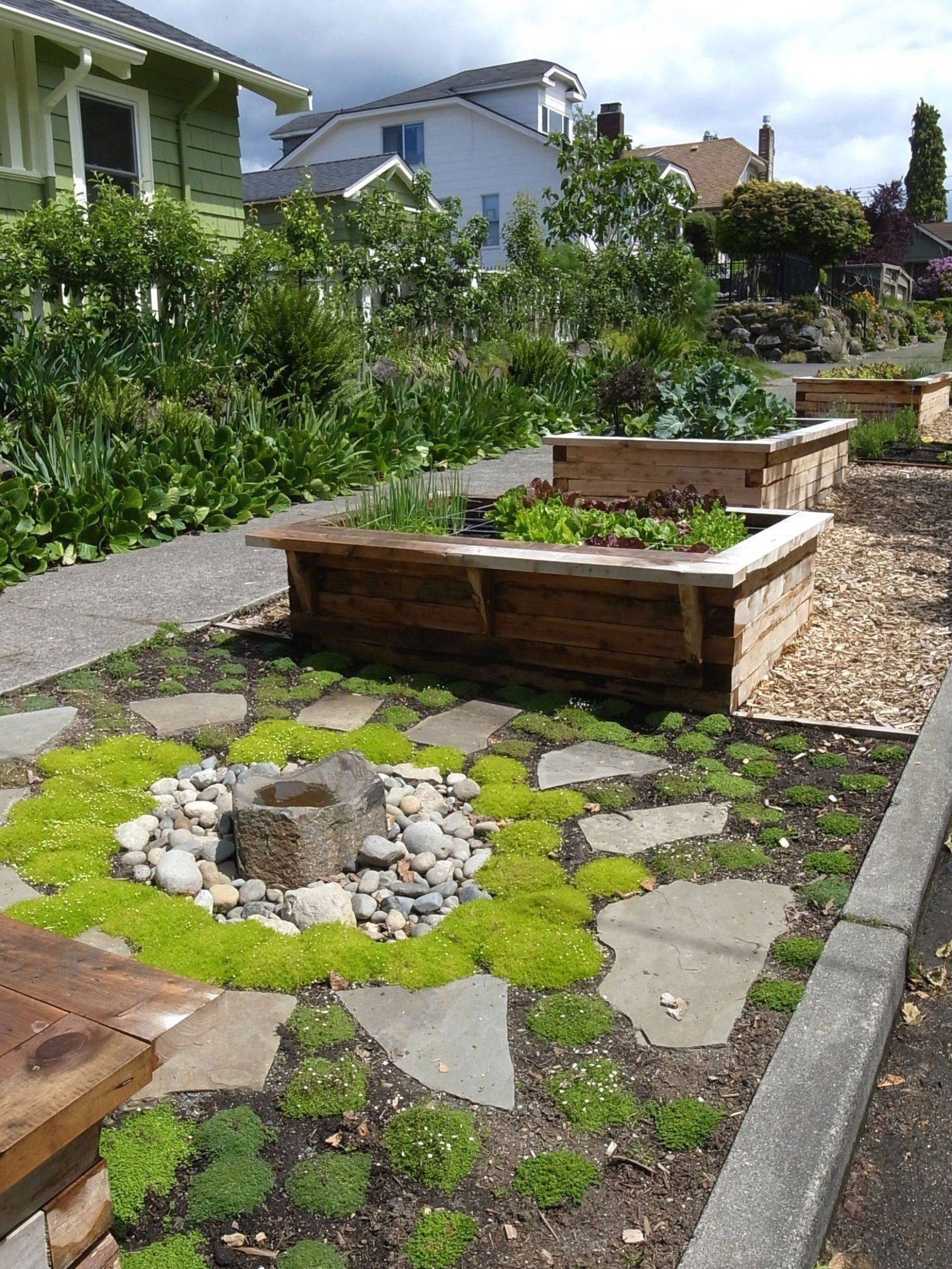 Edible Landscaping Ideas