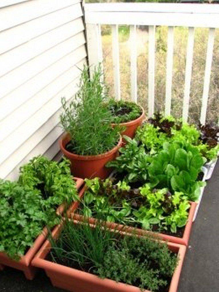 Small Space Gardening Ideas You Can Use Now