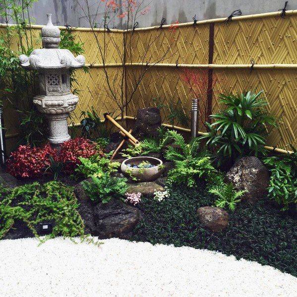 Bamboo Garden Ideas