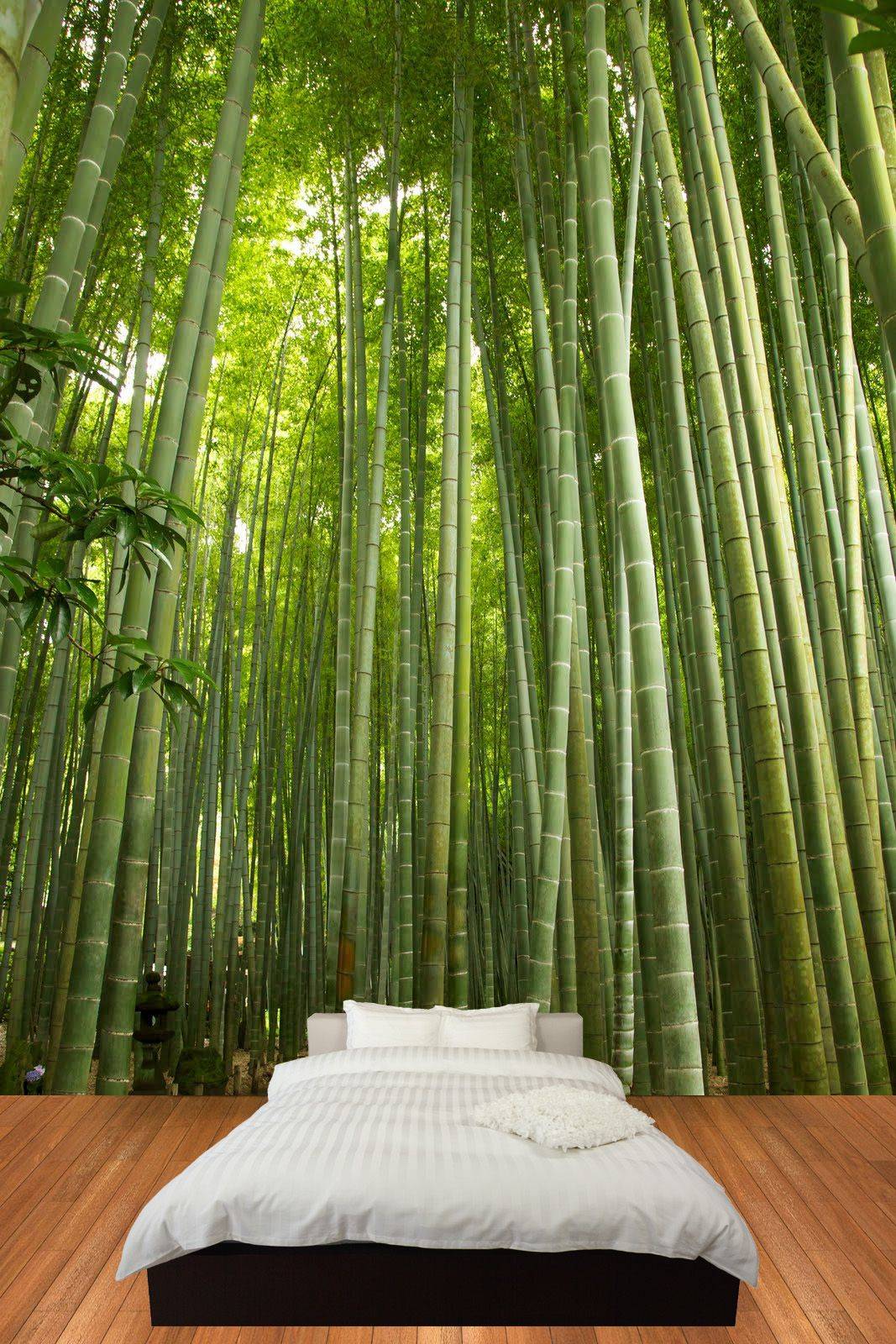 Bamboo Garden Ideas Top Easy And Attractive Diy Projects