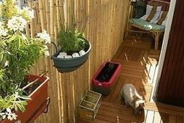 Bamboo Idea Small Backyard Landscaping