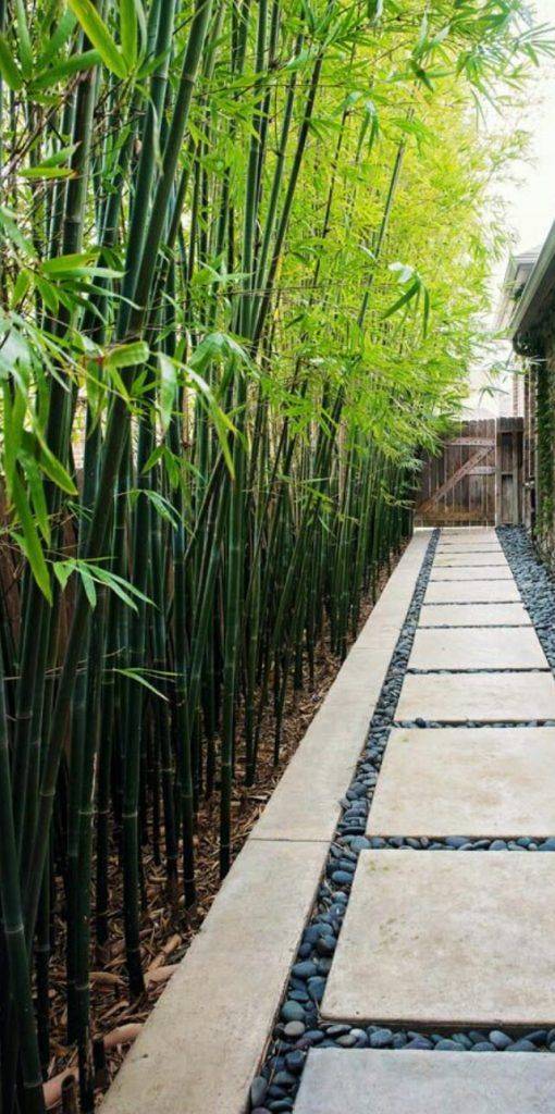 Top Best Bamboo Fence Ideas Backyard Privacy Designs