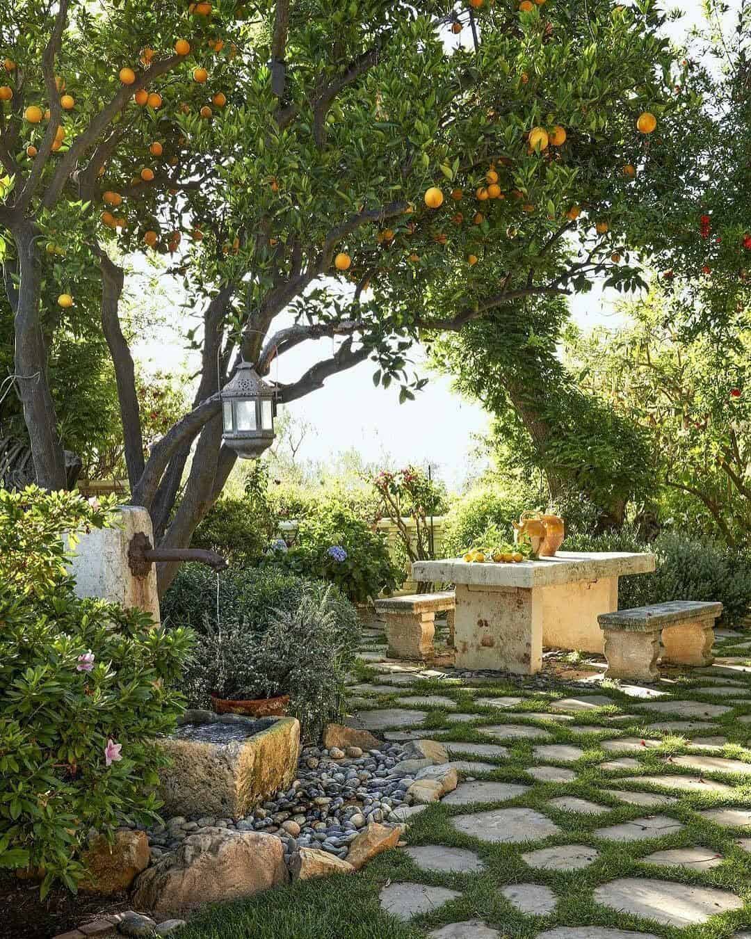 Lemon Tree