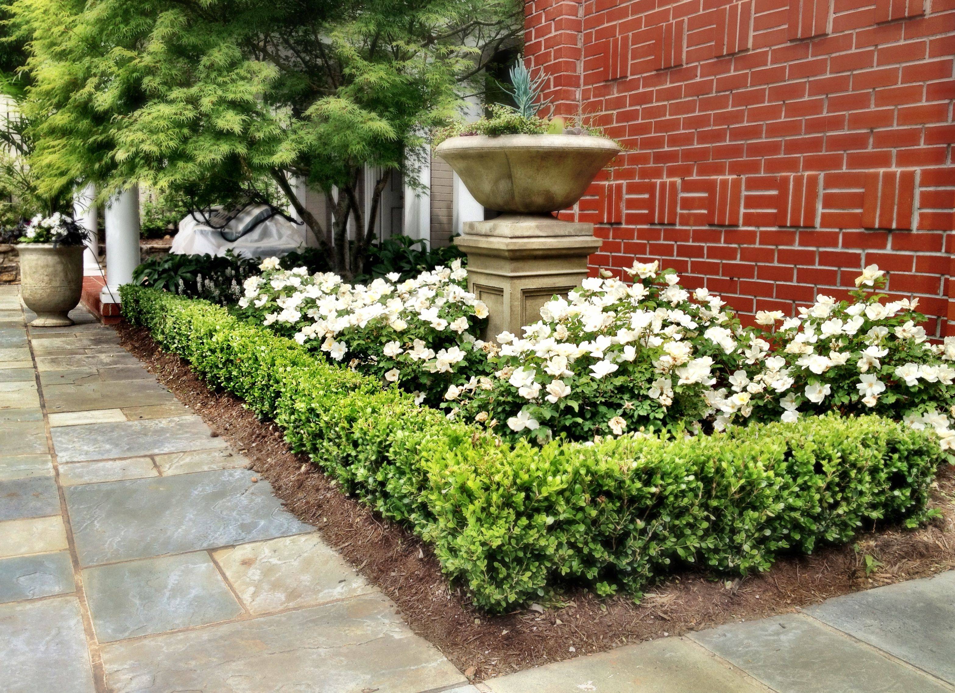 Backyard Patio Ideas