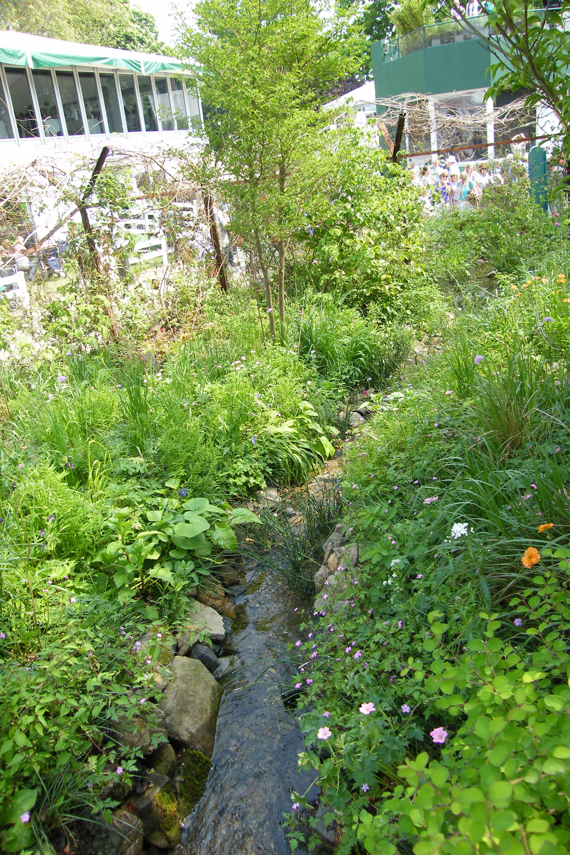 Asian Garden Ideas