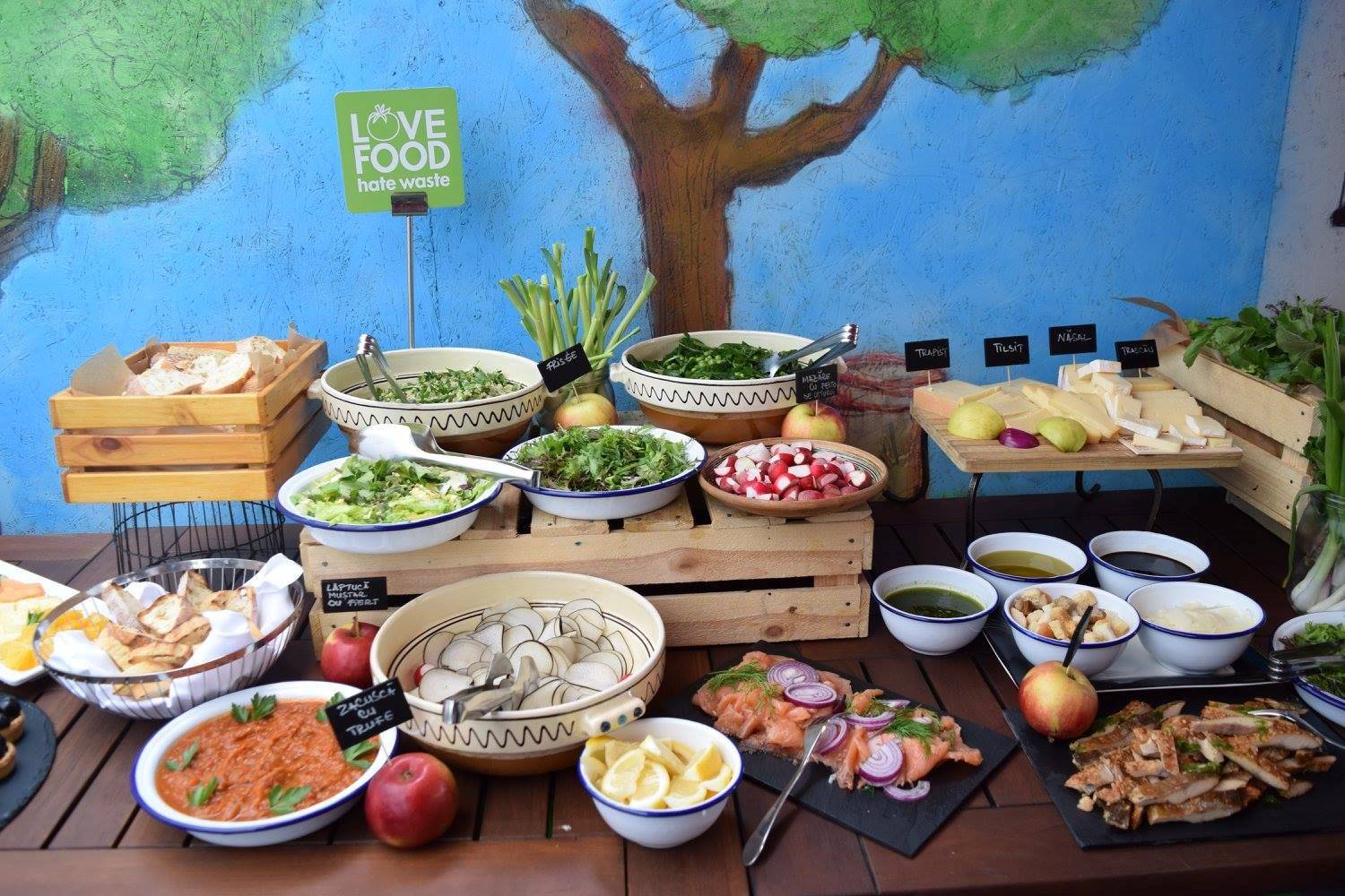 Orlando Florida Latest Buffet Ideas