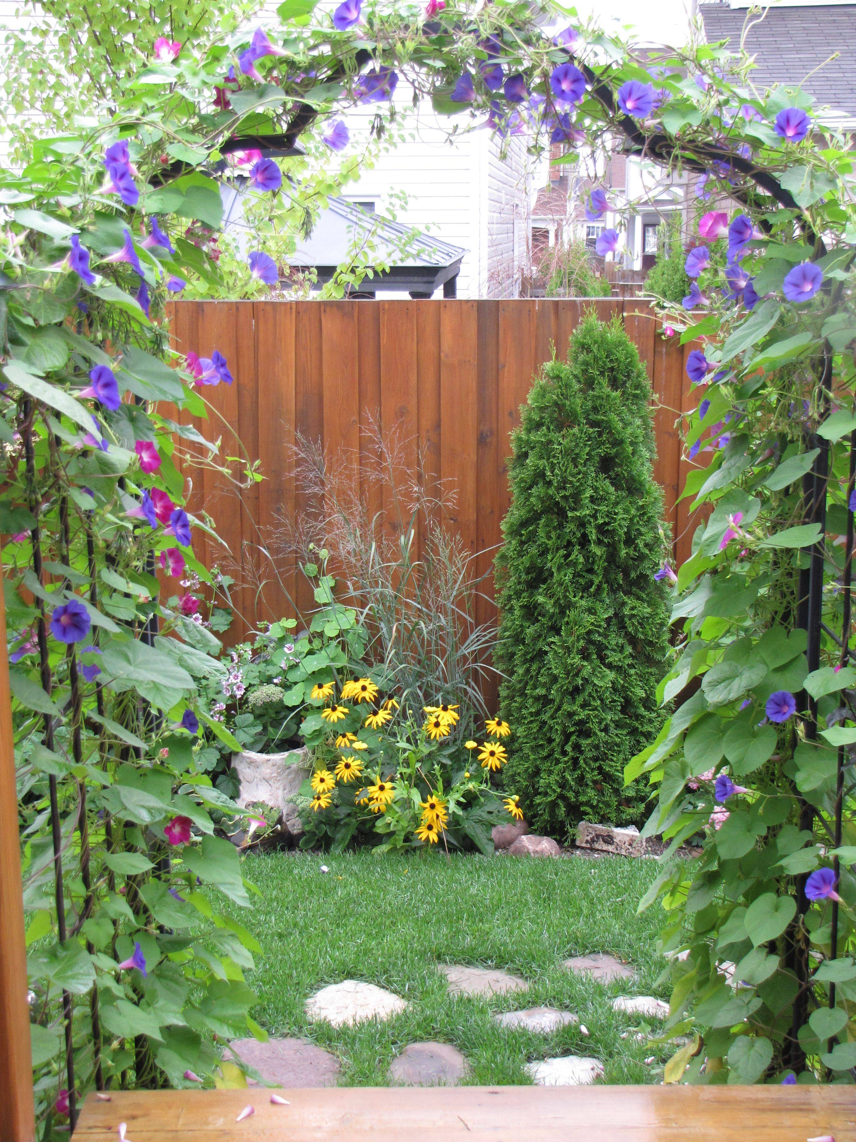 Garden Flowers