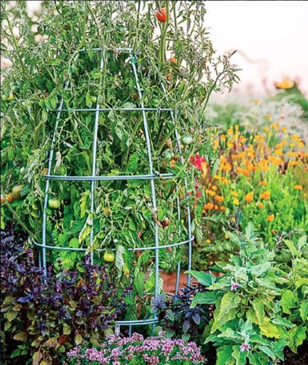 Best Secret Garden Ideas