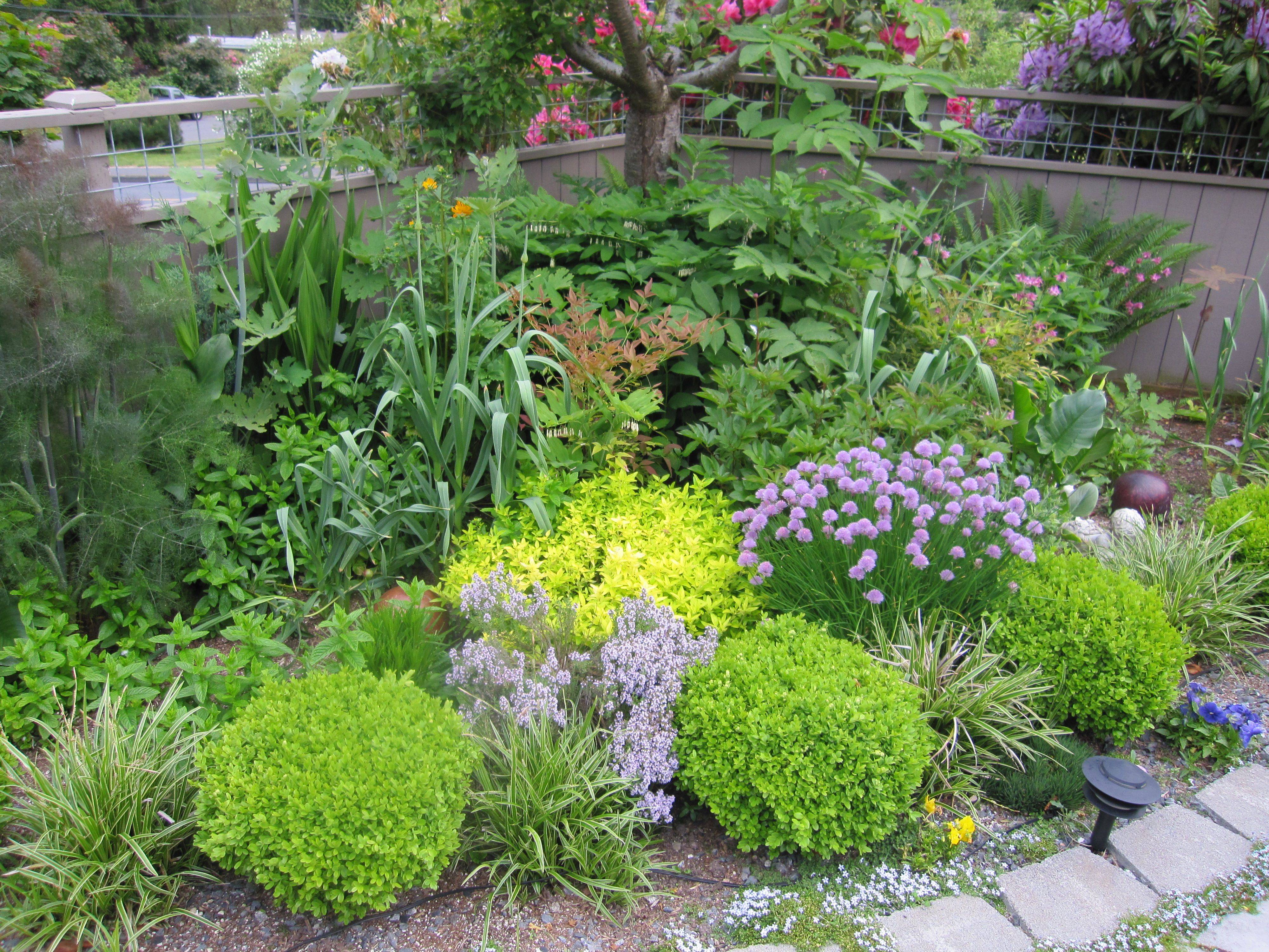 Garden Gates