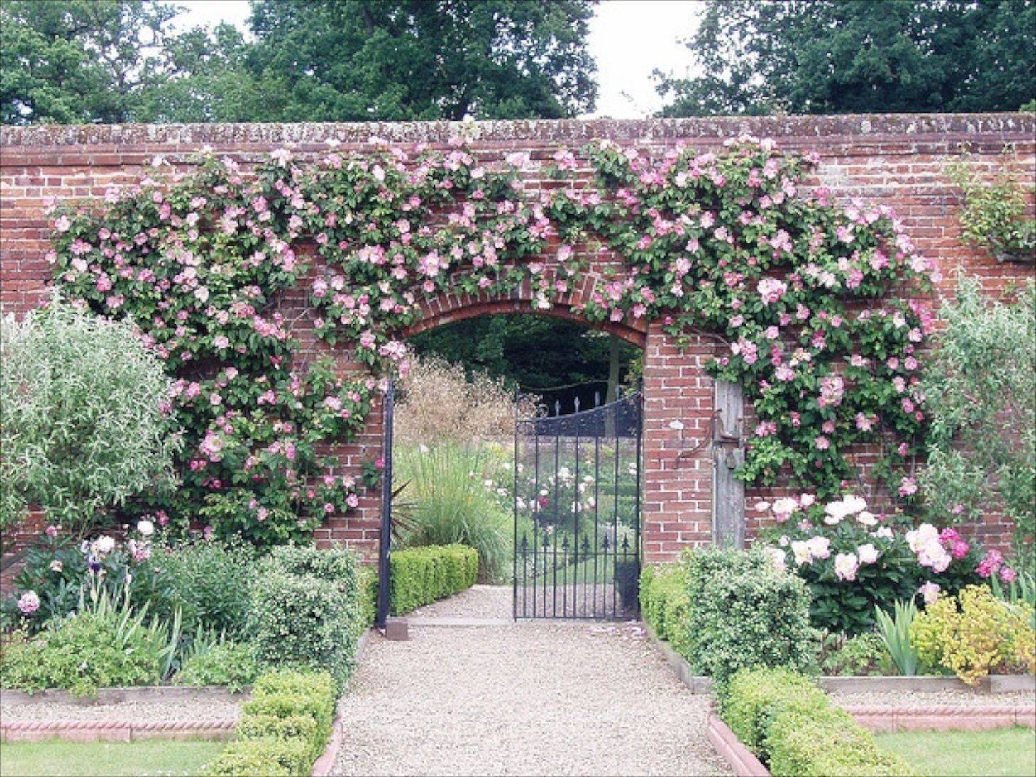 Rose Gazebos Rose Arbor Gazebo Garden Arch