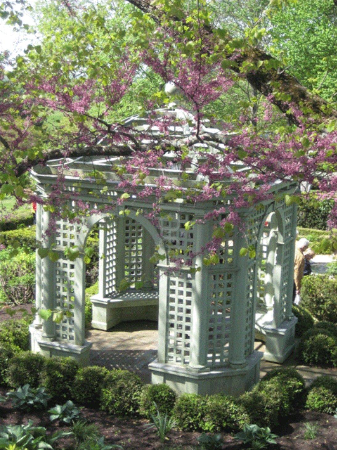The Cocktail Garden