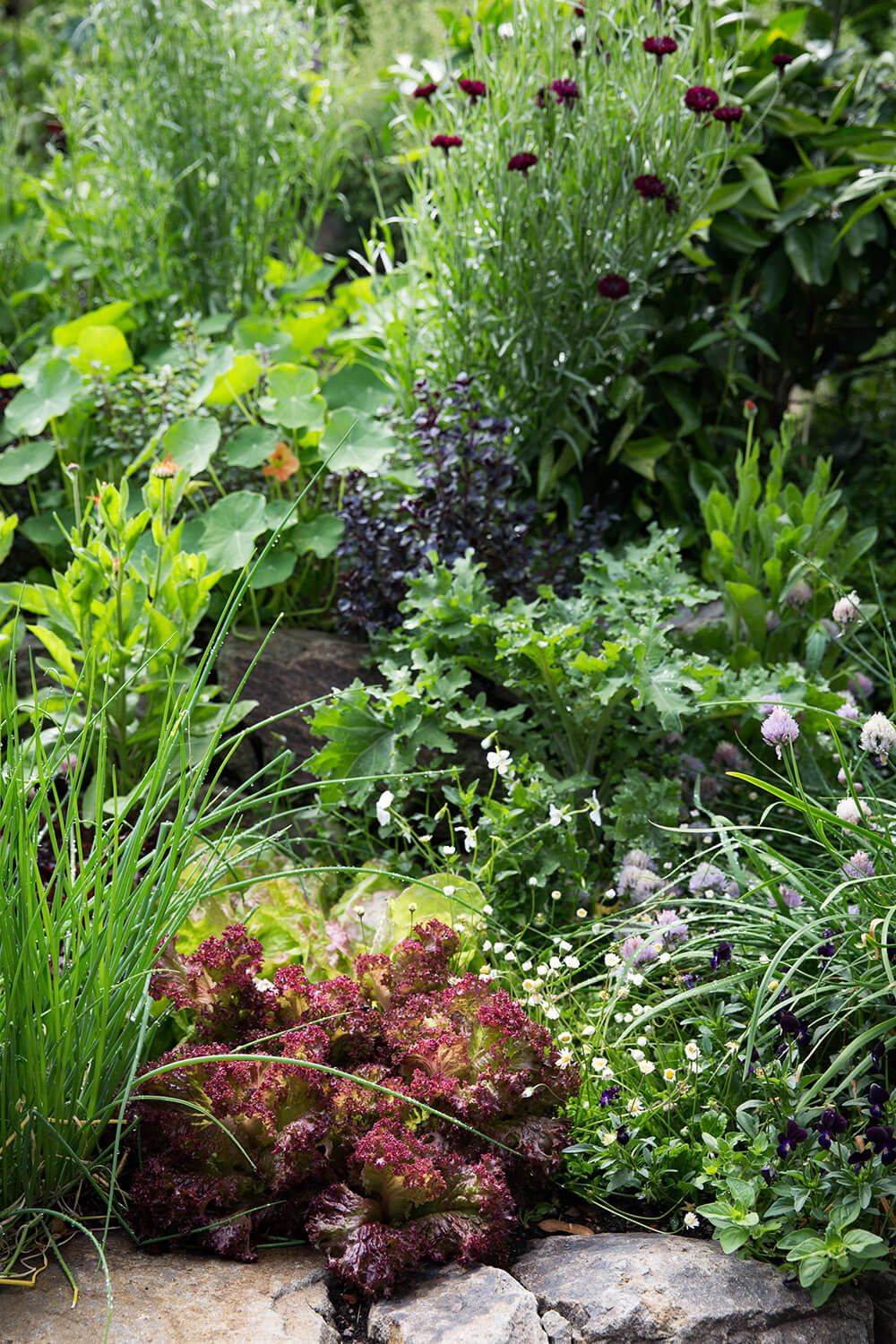 Pleasurewhimsy Garden