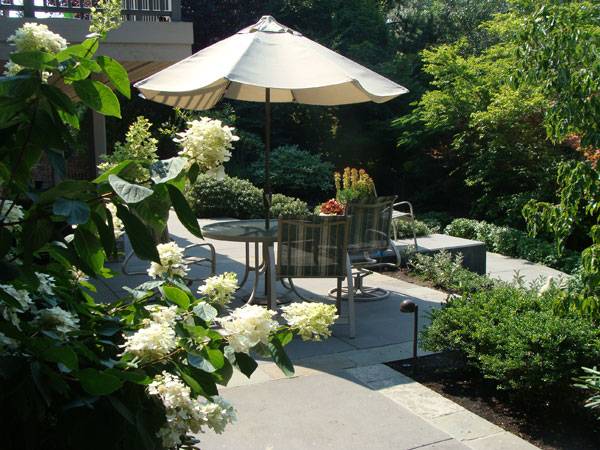 A Homeowner Plants Community