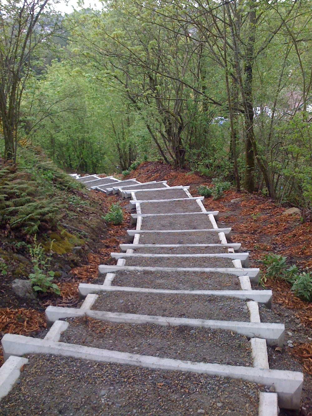 Seattle Area Family Fun