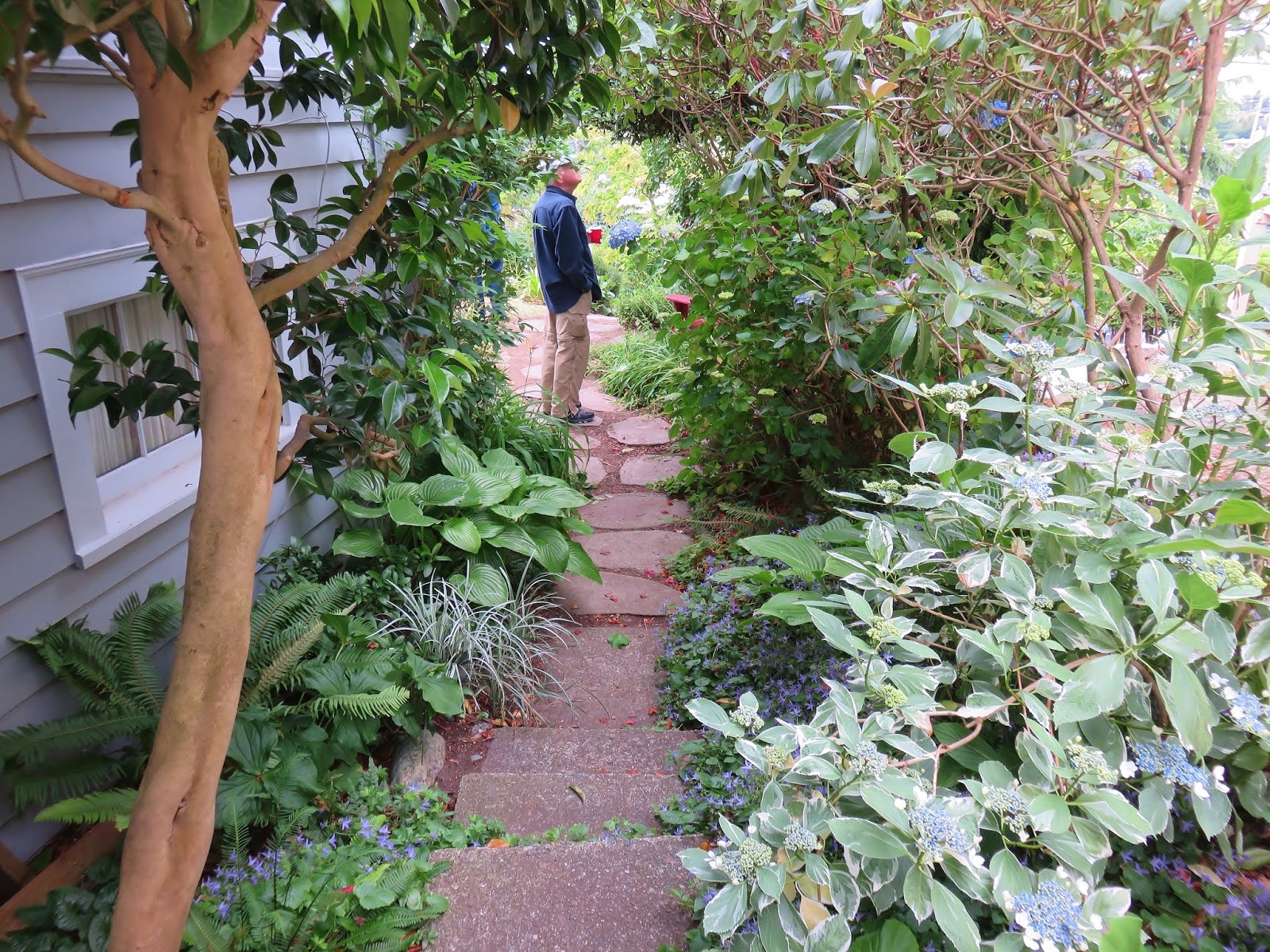 Various Contemporary Seattle