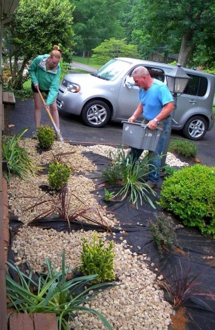 Amazing Garden Ideas