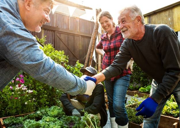 Amazing Garden Ideas