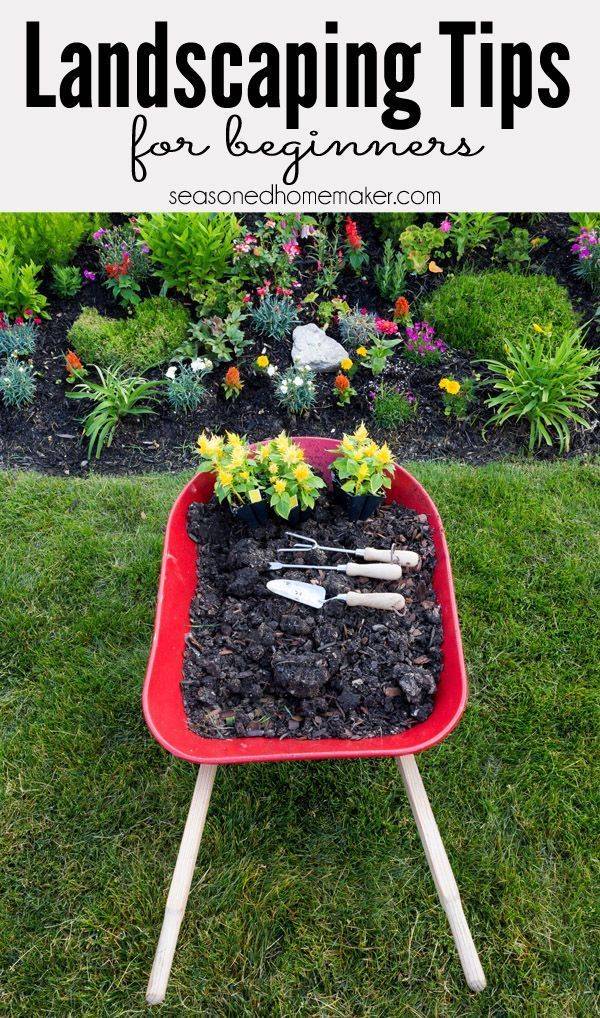 Garden Boxes