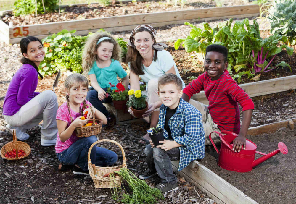 Home Gardening Tips