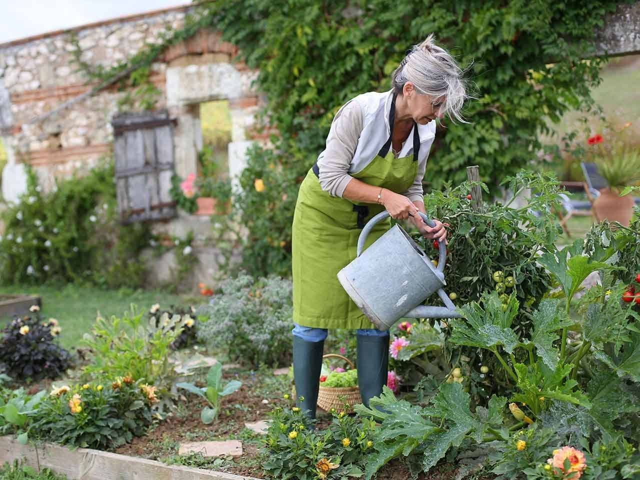 Gardening Tips
