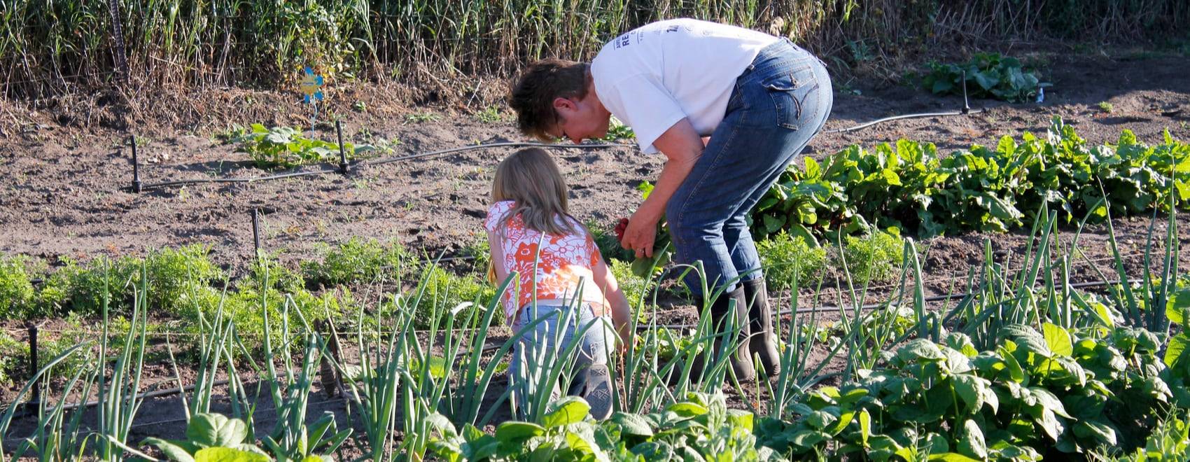 Your Own Veggie Patch Southern Living