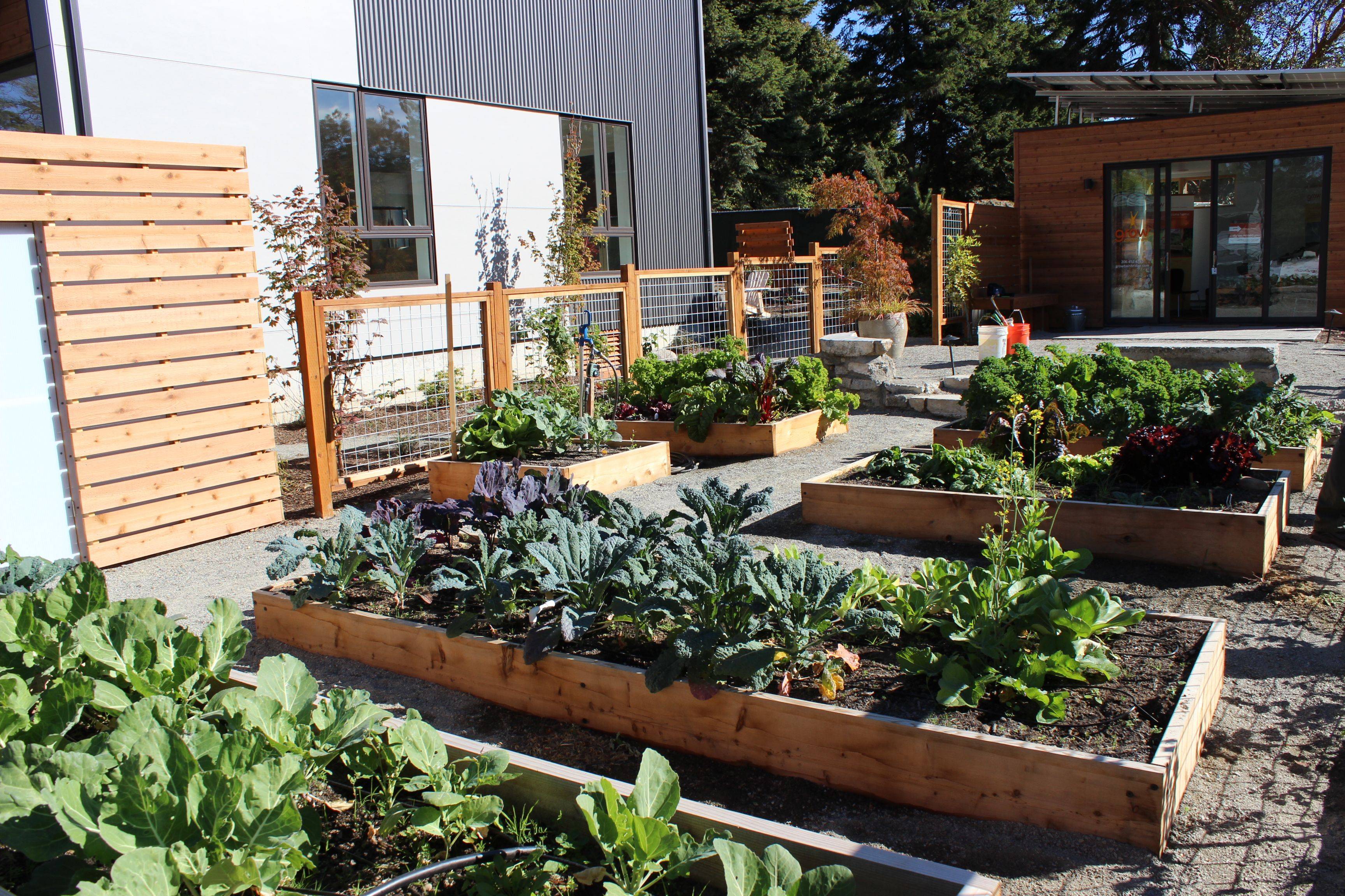 Different Community Garden Plot Designs