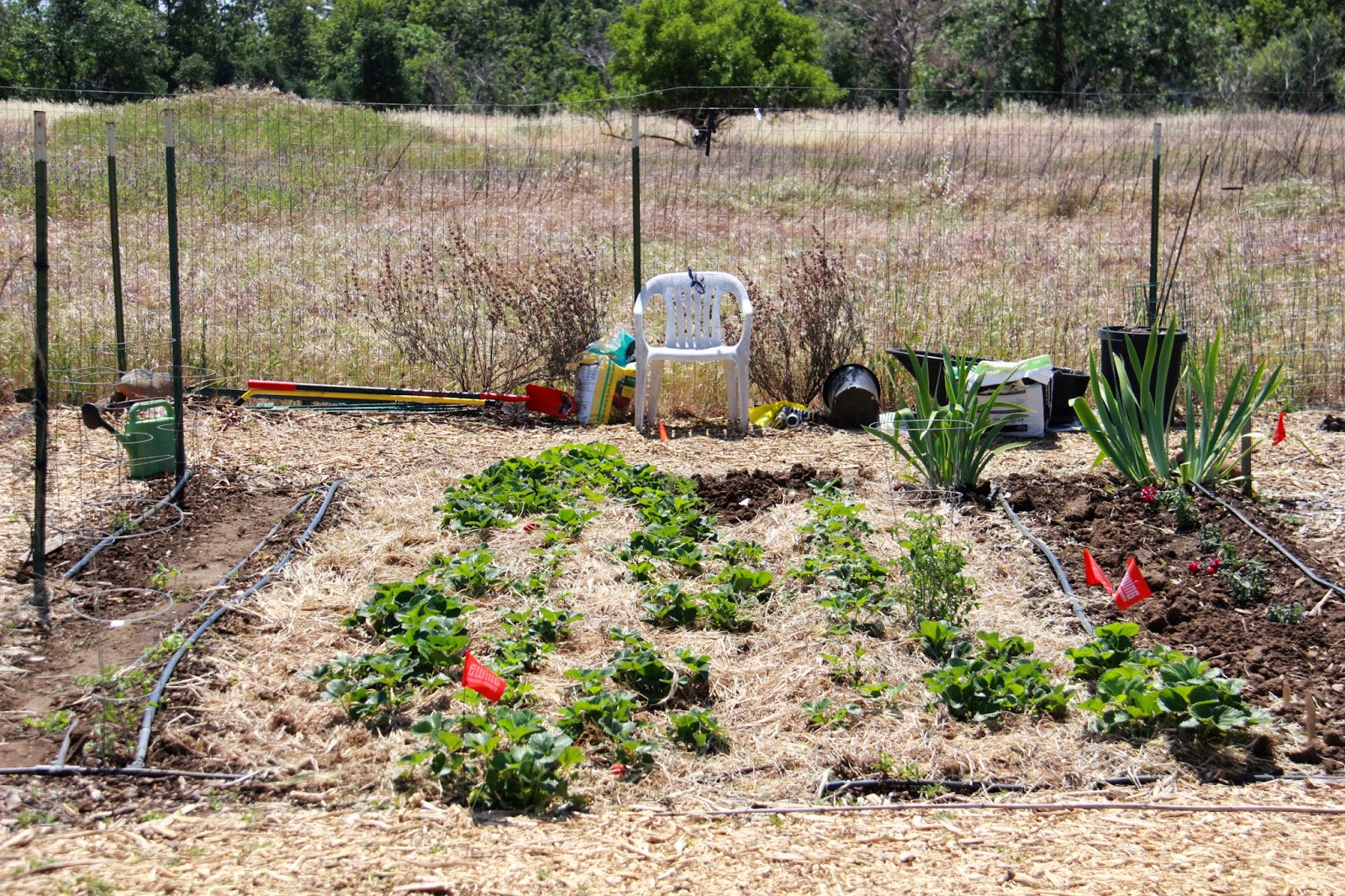 Different Community Garden Plot Designs