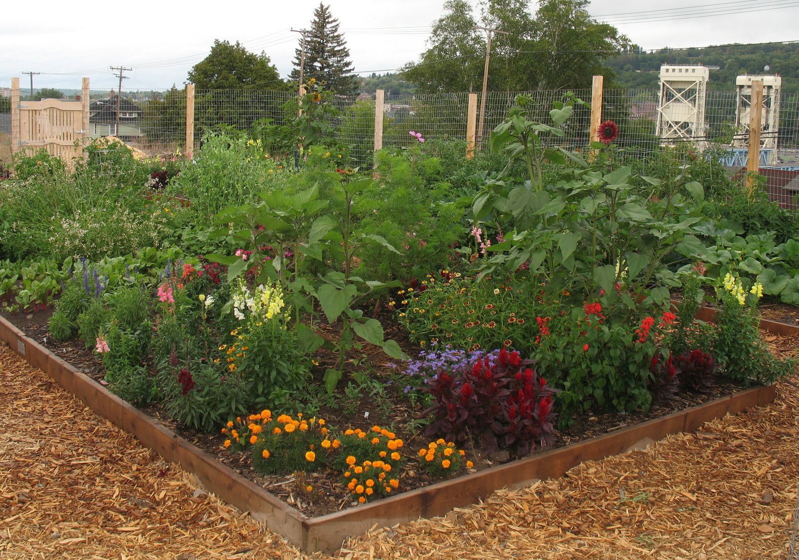 Community Garden Plot Ideas