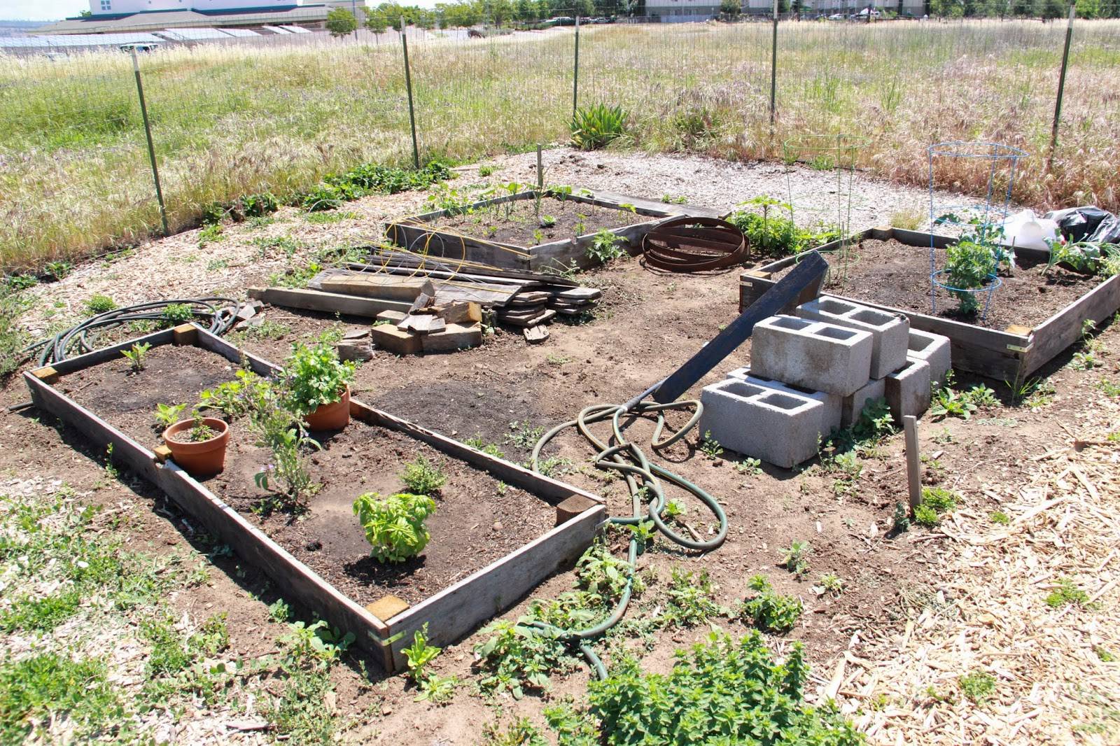 My Garden Plan