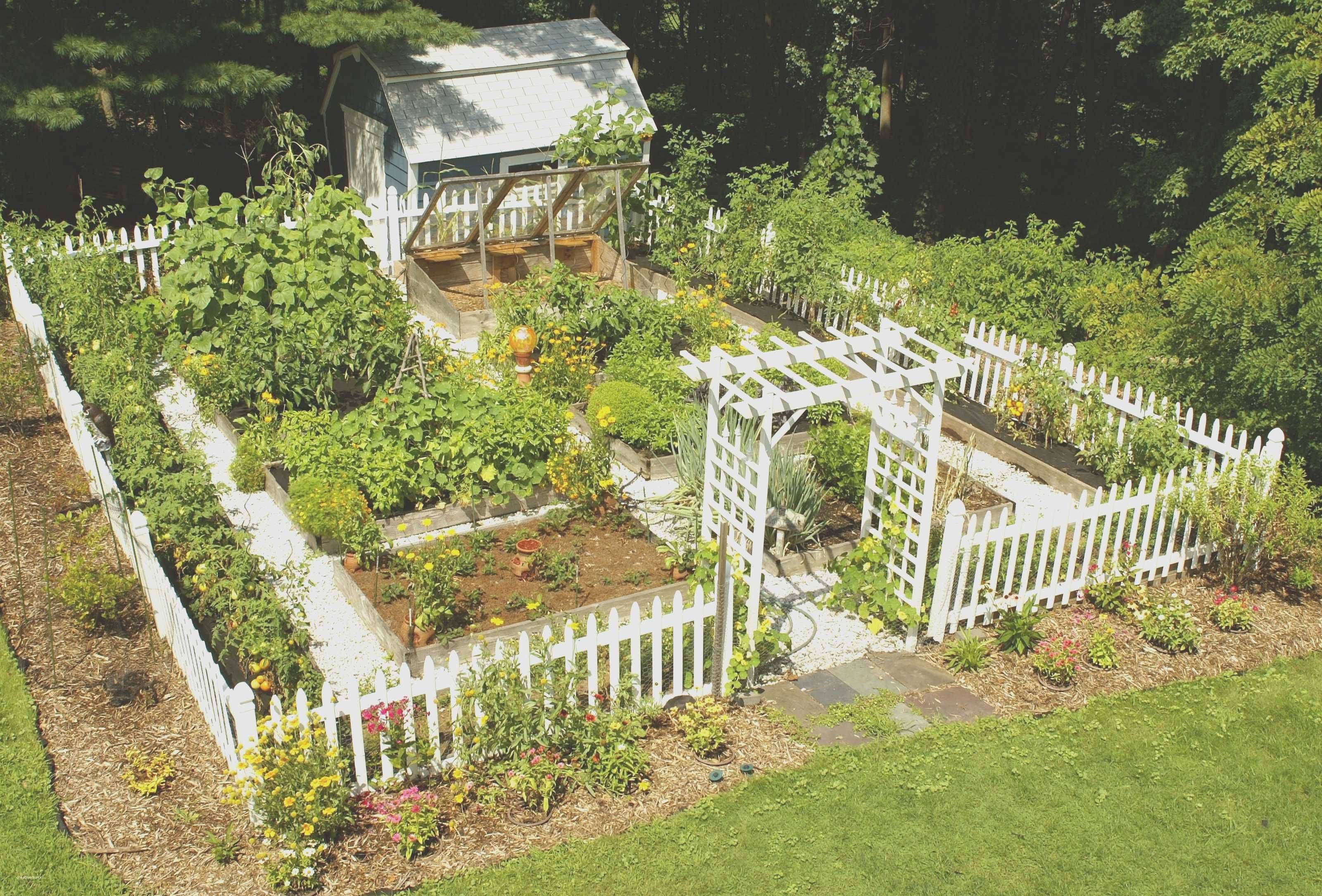Different Community Garden Plot Designs