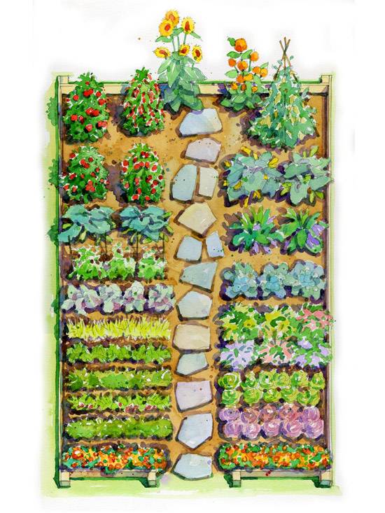 Vegetable Garden Plans