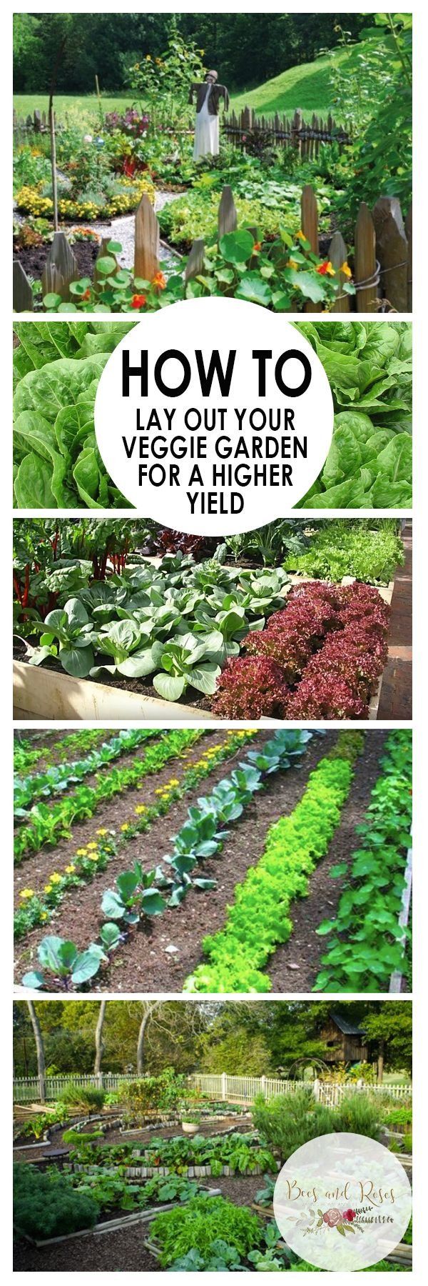 My Garden Plan