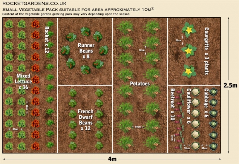 Small Spaces Garden Layout