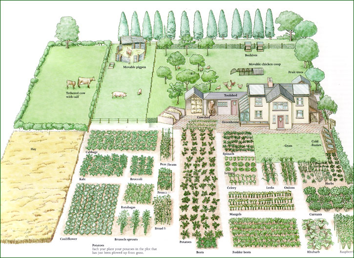Vegetable Garden Plans