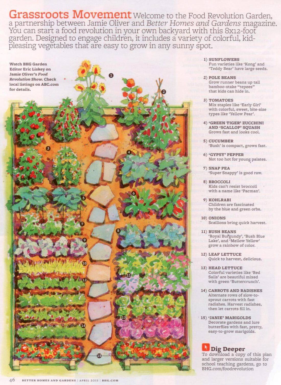 Lanis Big Year Vege Garden