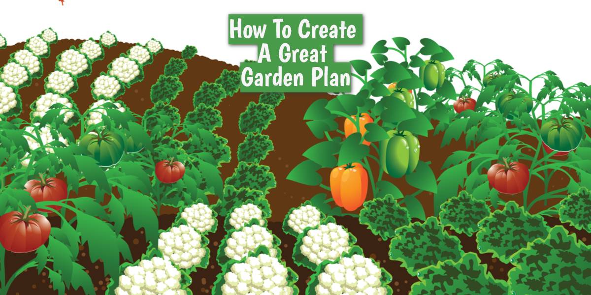 My Community Garden Plot
