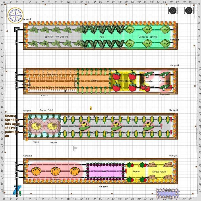 Veg Garden Vegetable Garden Planning