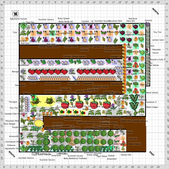 Garden Layout Vegetable