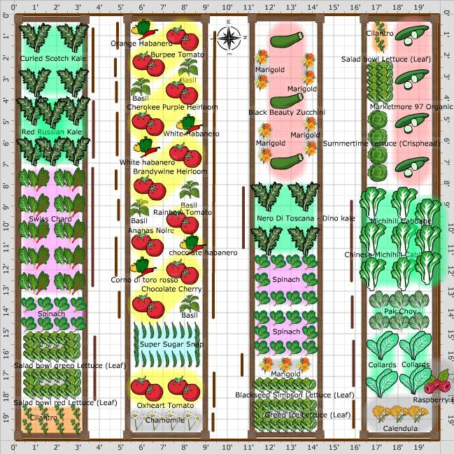 Garden Plan X Garden