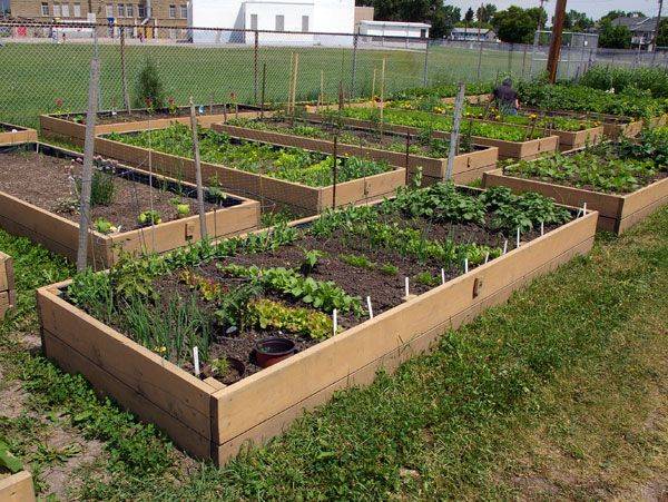 Garden Plots Available